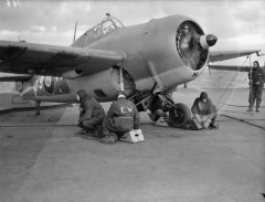 Martlet Mk.IV 4.jpg