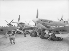 Seafire LF Mk.III. Media 1.jpg