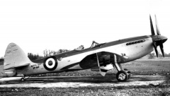 Seafire FR 47.jpg