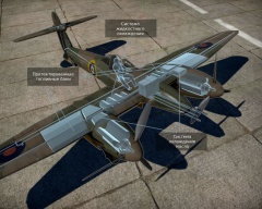 P.9 рентген.jpg