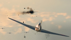 A6M2b 6.jpg