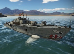 Vs10 в игре.jpg