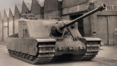 A39 2 Tortoise .jpg