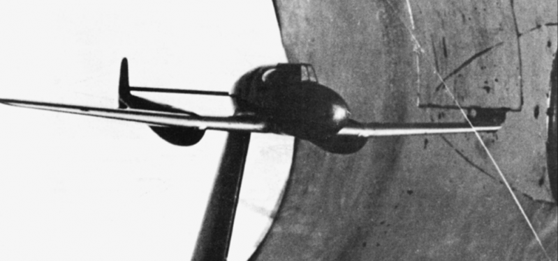 Файл:L-21 model.png