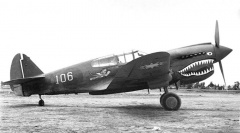 P40ch h2.jpg