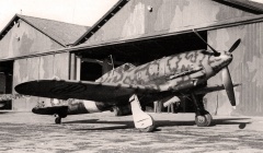 C.205 serie III Veltro. Медиа № 4.jpg