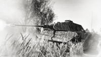 TigerII P медиа.png