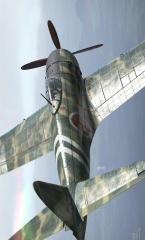 A7M1 (NK9H) 1 Ymn.jpg