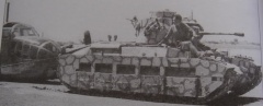 Matilda III 5 Crete.jpg