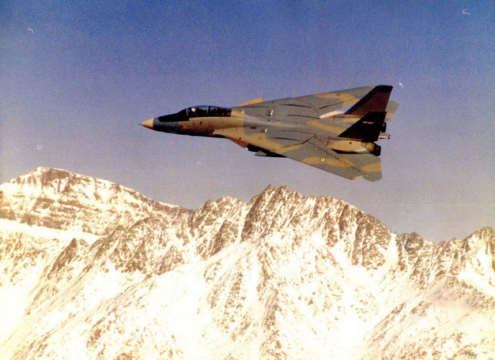 Iran F-14A 2.png