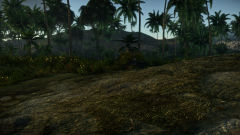 Chi-Nu в засаде.png