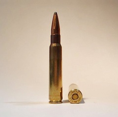 7.7 x 58mm JAP.JPG