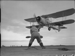 Swordfish с RP-3.jpg