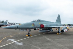 Rocaf f-5e.jpg