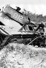 LVT(A)ch Подбитая машина морской пехоты LVT(A)-4 D12 «Lady Luck» на Плейлу (Пелелиу).jpg