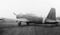 A35b-6.jpg