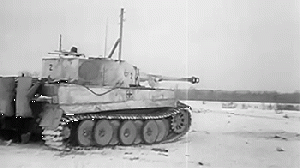 Tiger h1 shot.gif