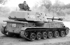 2С3 Акация 1.jpg