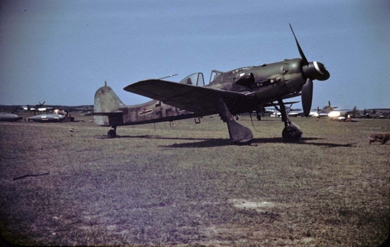 Файл:Цветная фотография Fw 190 D-9 в боевой части.jpg