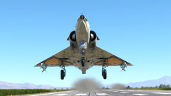 Kfir Canard. Gallery 1.png