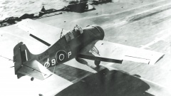 Martlet Mk.IV 3.jpg