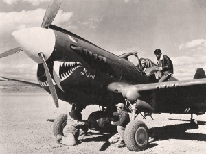 P40e B.jpg